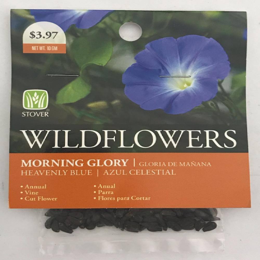 Morning Glory 'Heavenly Blue' Flower Seeds – 30+ Seeds, Non-GMO, Heirloom, Climbing Vine (Womack Farm)