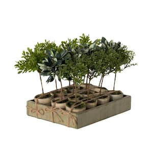 8 .5" Artificial Potted Mini Tree Crate Of 12