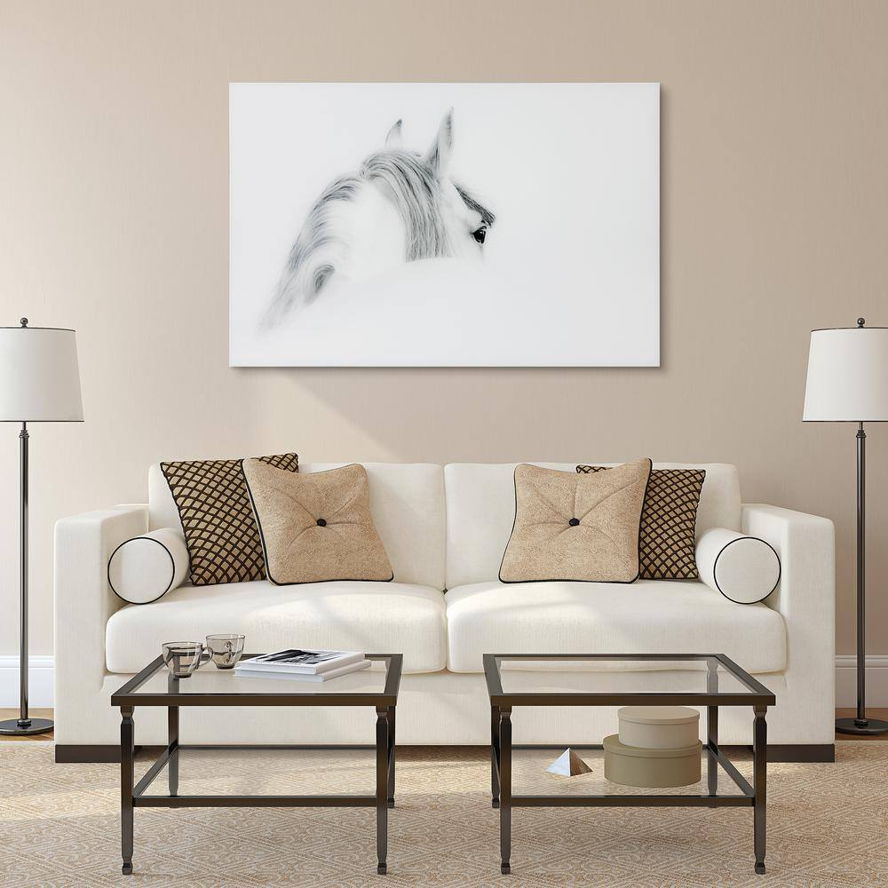 Blanco Mare Horse Frameless Tempered Glass Wall Art, 48" x 32"