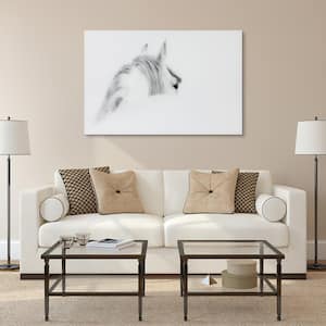 48 in. x 32 in. "Blanco Mare Horse" Frameless Free Floating Tempered Glass Panel Graphic Art