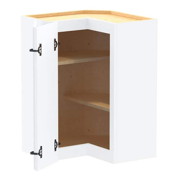 Newport 21 in. W x 12 in. D x 30 in. H Assembled Plywood Corner Wall Kitchen Cabinet in Pacific White with Shelves