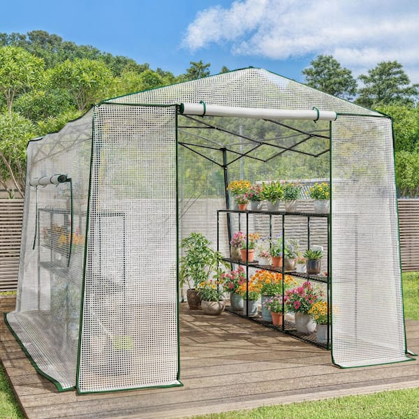 8 ft. x 11 ft. Walk-In Greenhouse Featuring Roll-Up Windows and Two 3-Tier Plant Shelvings