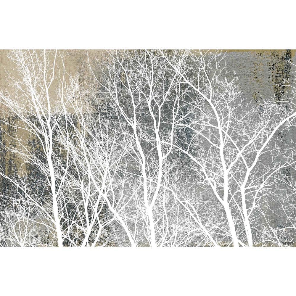 40 in. H x 60 in. W Frosty White Branches by Parvez Taj Printed Canvas