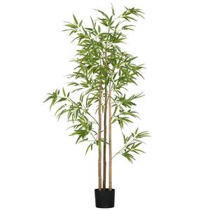 BAMBOO 2024.6〜2025.1 32