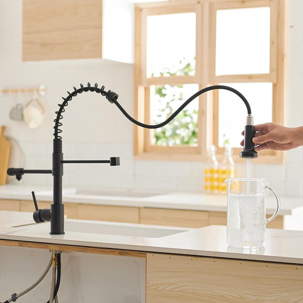 Matte Black 3-in-1 Pull-Down Kitchen Faucet with Sprayer