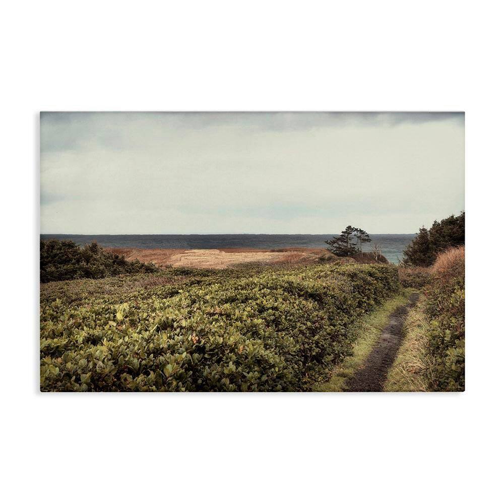 Serene Coastal Pathway by Andy Amos Unframed Nature Graphic Art Print 16 in. x 24 in. price history on PriceWatchPro