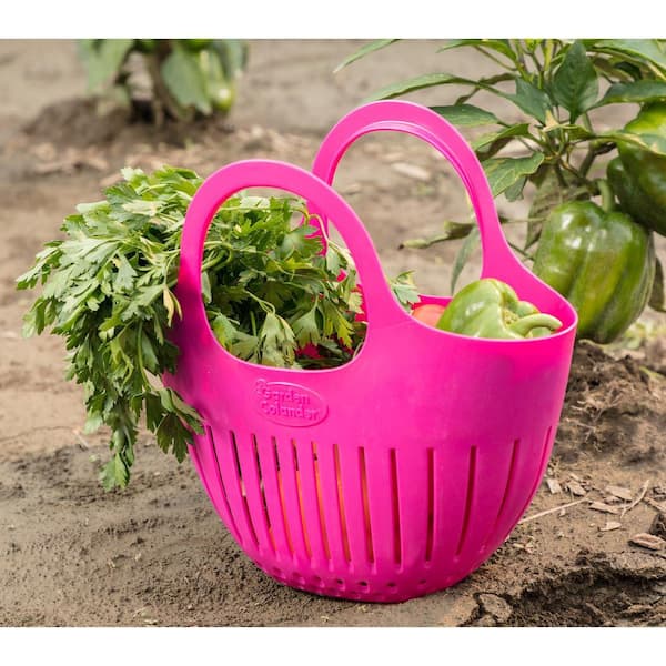 Hutzler Green Mini Garden Colander Harvest Basket (2-Pack) 3779