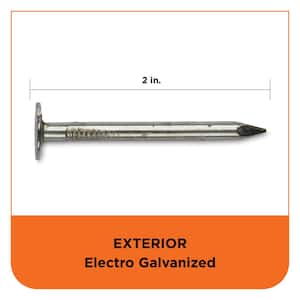 2 in. Electro Galvanized Roofing Nail 1 lb. (136-Count)