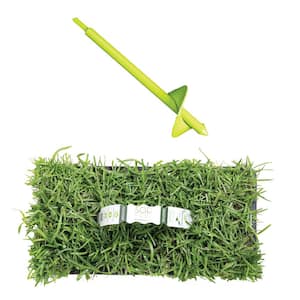 Centipede Sod/Grass Plugs 64-Count/SP Power Planter Bundle - Natural, Affordable Lawn Improvement