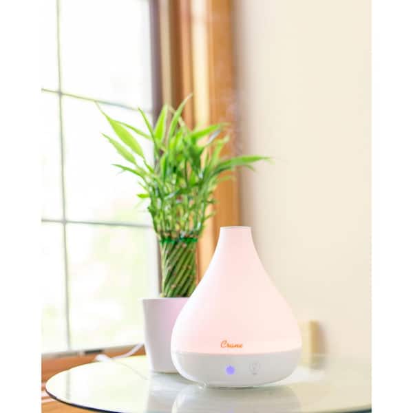 Crane 0.35 Gal. 2-in-1 Ultrasonic Cool Mist Humidifer & Aroma Diffuser for  Small Rooms up to 200 sq. ft. EE-5953AD - The Home Depot