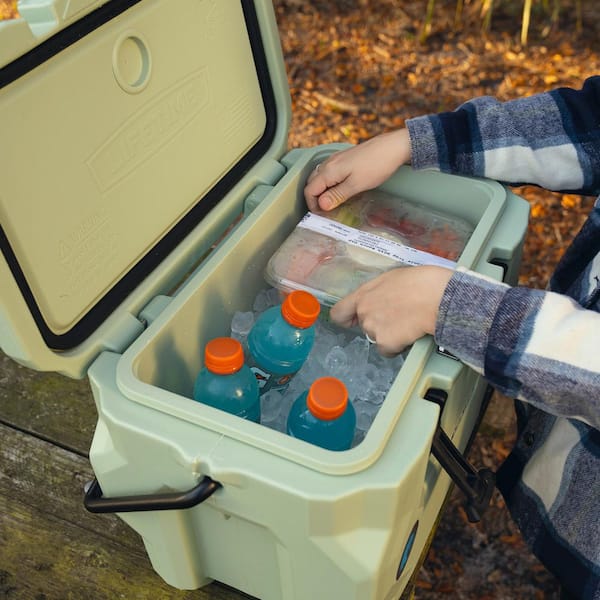 Lifetime 28 qt. Glacier Cooler 91416 - The Home Depot