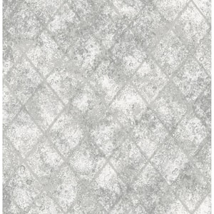 Mercury Glass Silver Distressed Metallic Paper Strippable Roll Wallpaper (Covers 56.4 sq. ft.)