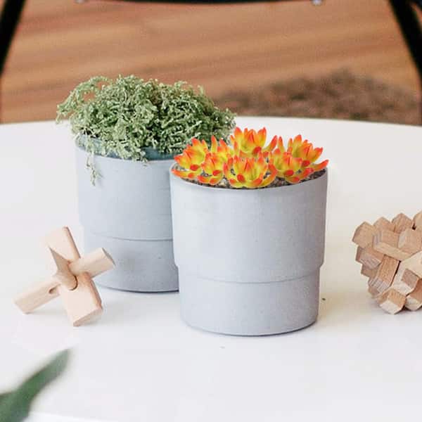 LIVING LUXURY 2 in. Yellow Red Lotus Echeveria Artificial Succulent Stem Plant Greenery Pick Spray Branch (Set of 6-Pieces)