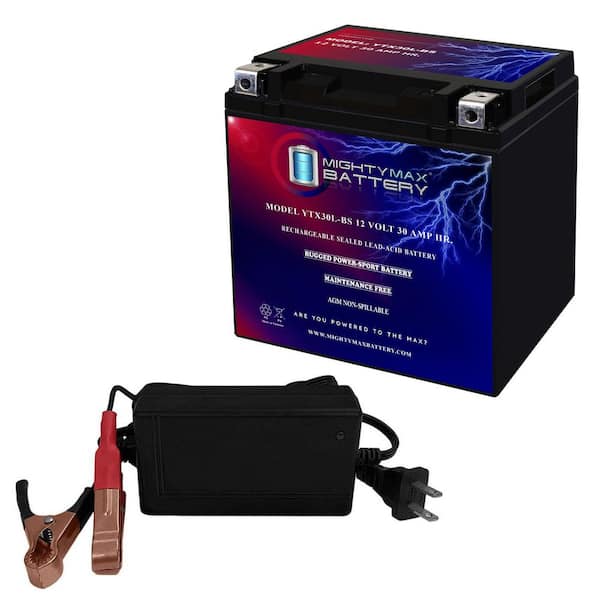 YTX30L-BS 12-Volt 30 AH Power Sport Series SLA Battery Includes 12-Volt 4 Amp Charger