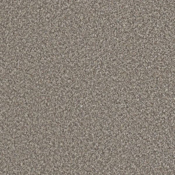 Folklore III - Peace Beige - 75 Oz. SD Polyester Texture Installed Carpet