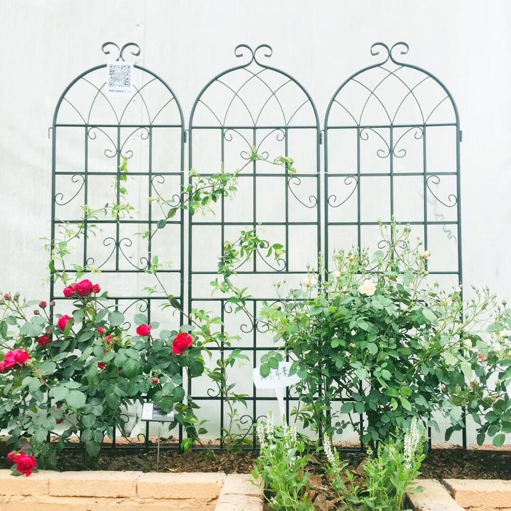 71" Black Metal Garden Trellis Screen for Climbing Plants, 4 Pack