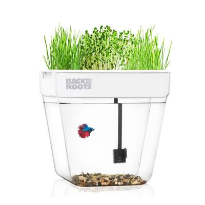 Premium Acrylic Water Garden Fish Tank That Grows Food