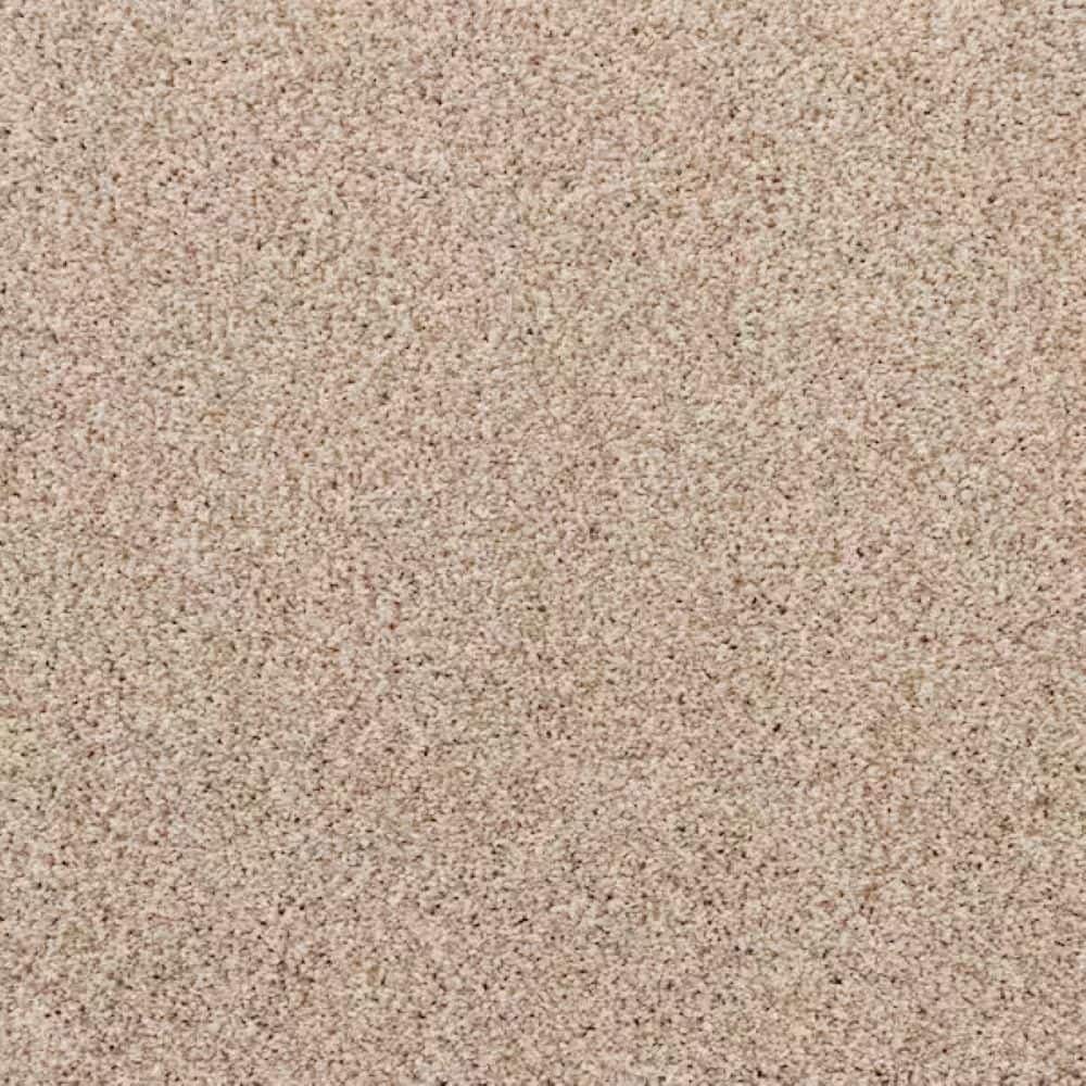 8 in. x 8 in. Texture Carpet Sample-Magalynn II-Color Natural price history on PriceWatchPro