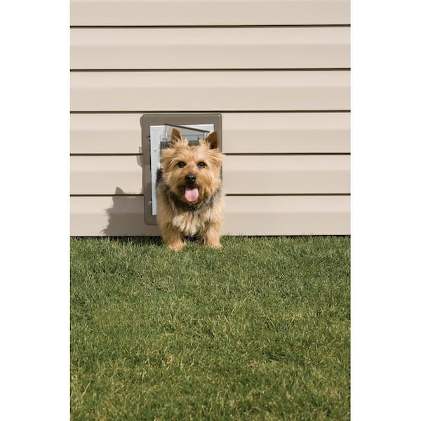 Petsafe wall entry aluminum pet 2024 door medium