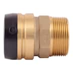 1-1/2 in. Push-to-Connect MIP Brass Adapter Fitting