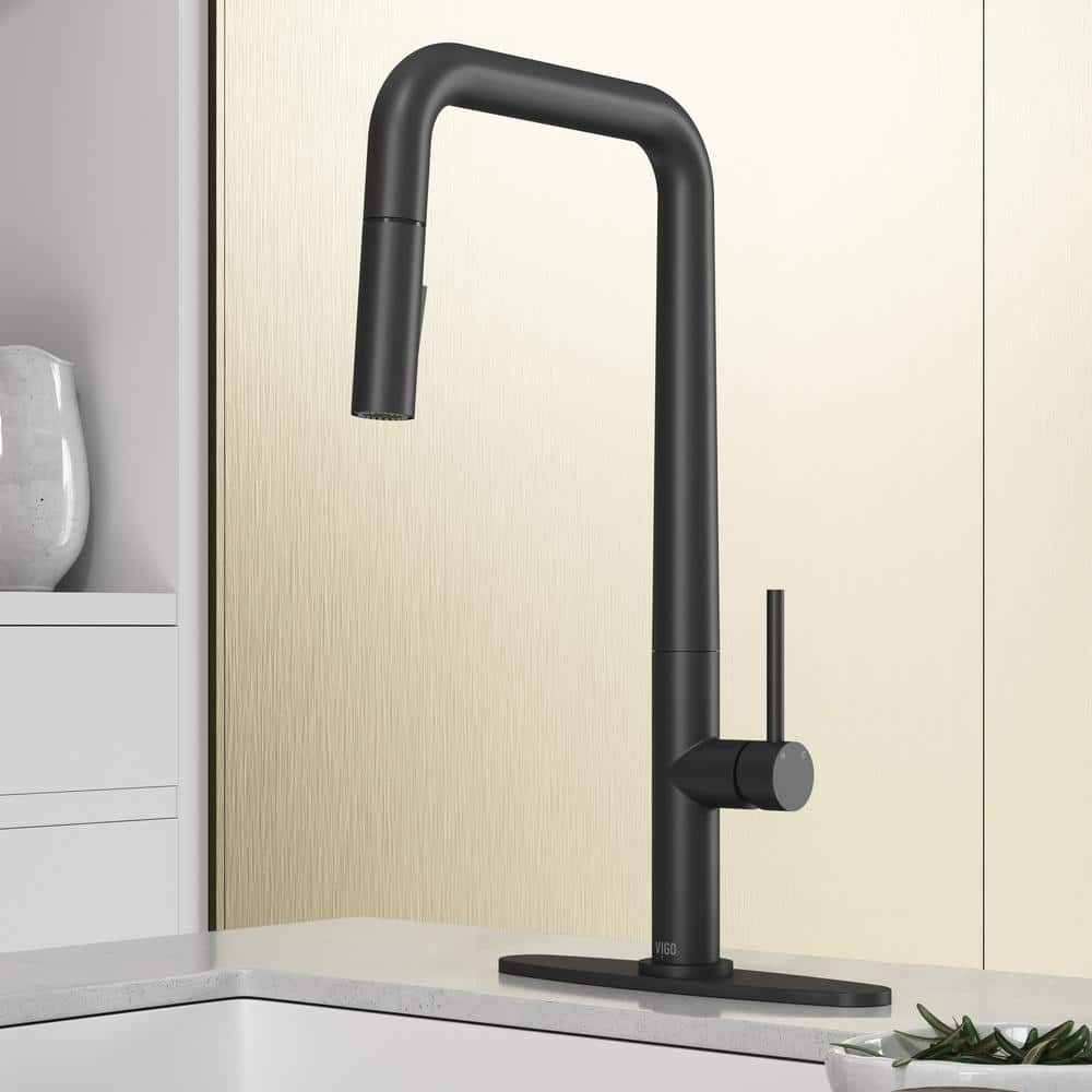 Mueller Home Pull Out Kitchen Faucet & Reviews