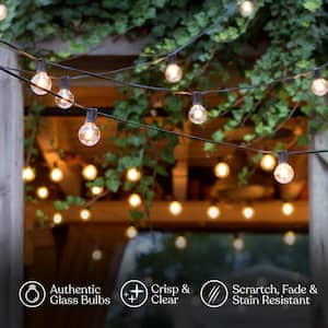 Ambience Pro 12-Light 26 ft. Black Indoor/Outdoor Plug-In NonHanging LED 1-Watt G40 2700K Soft White Bulb String Lights