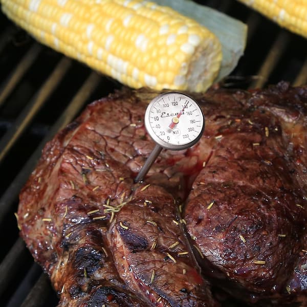 Escali Instant Read Dial Meat Thermometer & Reviews