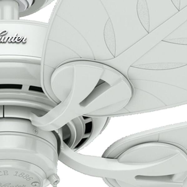 Hunter - Bayview 54 in. Indoor/Outdoor White Ceiling Fan For Patios or Bedrooms