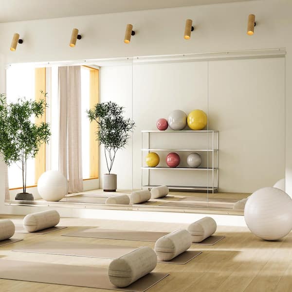 2-Pieces 30 in. W x 58 in. H Rectangle Frameless Gym Mirror Dance Mirror Wall Mirror