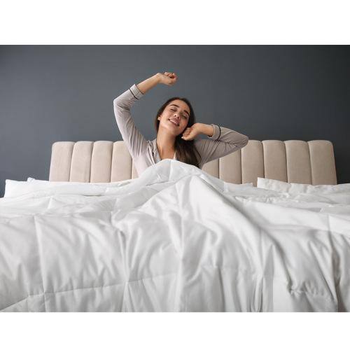 Aoibox King Cotton Down Alternative Featherless Comforter SNPH004IN599