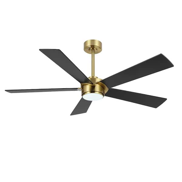 54 in. (4.5 ft.) 5 Blades Indoor Ceiling Fan with Integrated LED and Remote, Gold