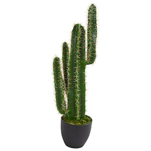 Indoor 2.5 ft. Cactus Artificial Plant