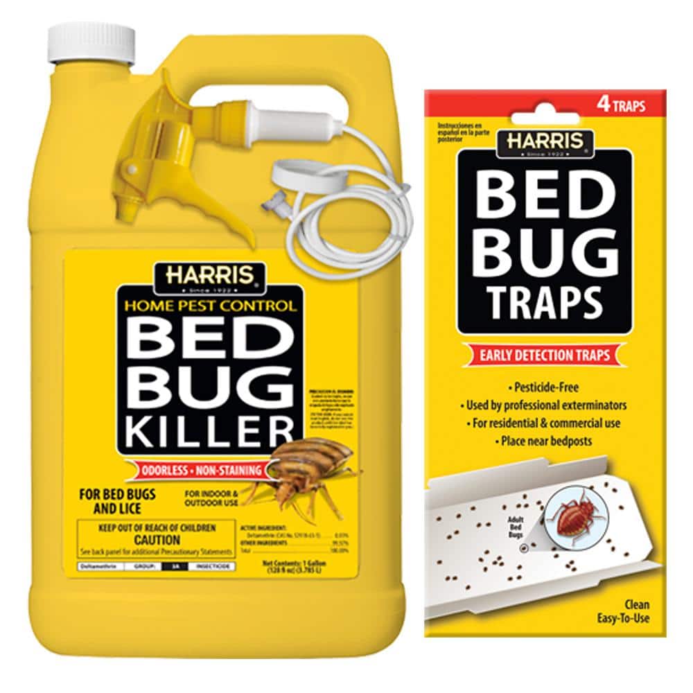 Hot Shot Bed Bug Glue Trap Detector Indoor Insect Trap (4-Pack) in the Insect  Traps department at