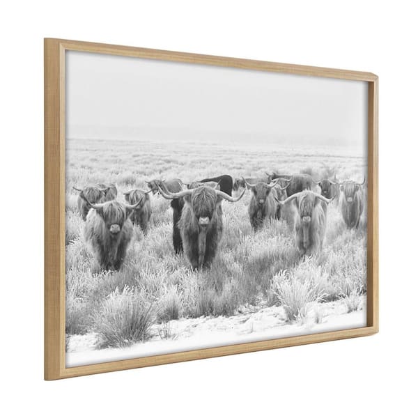 Kate and Laurel Blake "Herd of Highland Cows BW" by The Creative Bunch Studio Framed Art Print 24 in. x 32 in.