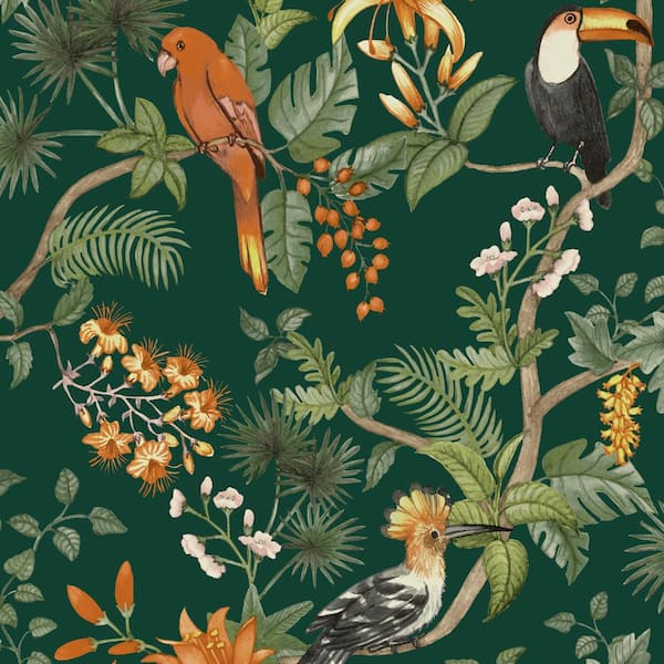 Rainforest Green Birds of Paradise Vinyl Peel and Stick Wallpaper Roll (Covers 28 sq. ft.)