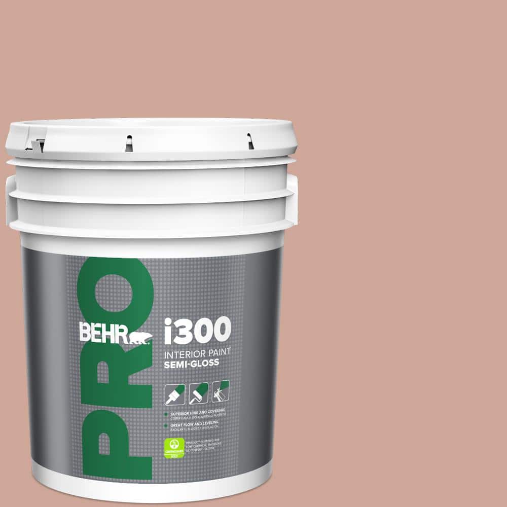 5 gal. #PPU2-08 Pink Ginger Semi-Gloss Interior Paint price history on PriceWatchPro