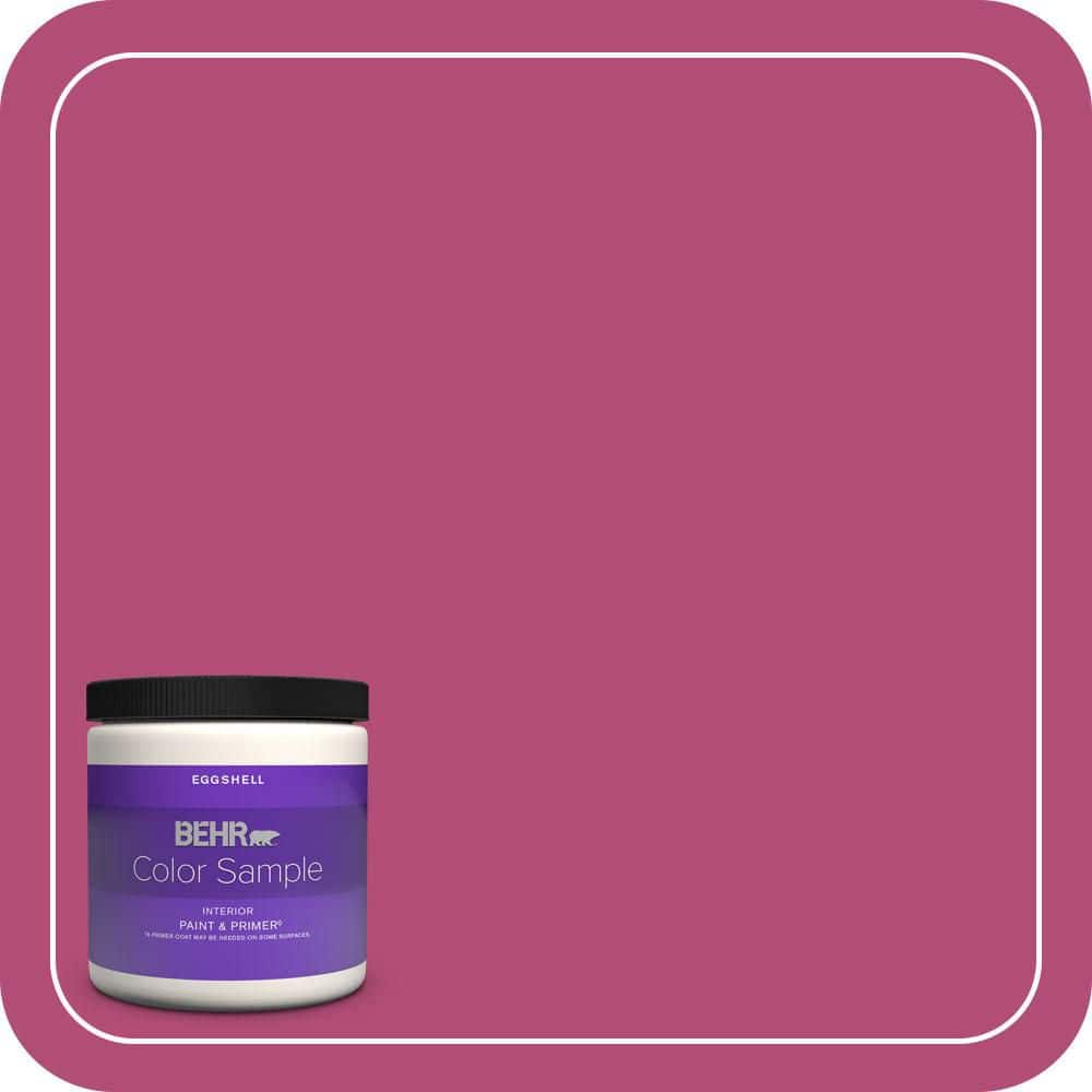 8 oz. #P120-6 Diva Glam Eggshell Enamel Interior Paint & Primer Color Sample price history on PriceWatchPro