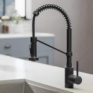 Bolden Single-Handle Pull-Down Sprayer Kitchen Faucet with Dual Function Sprayhead in Matte Black