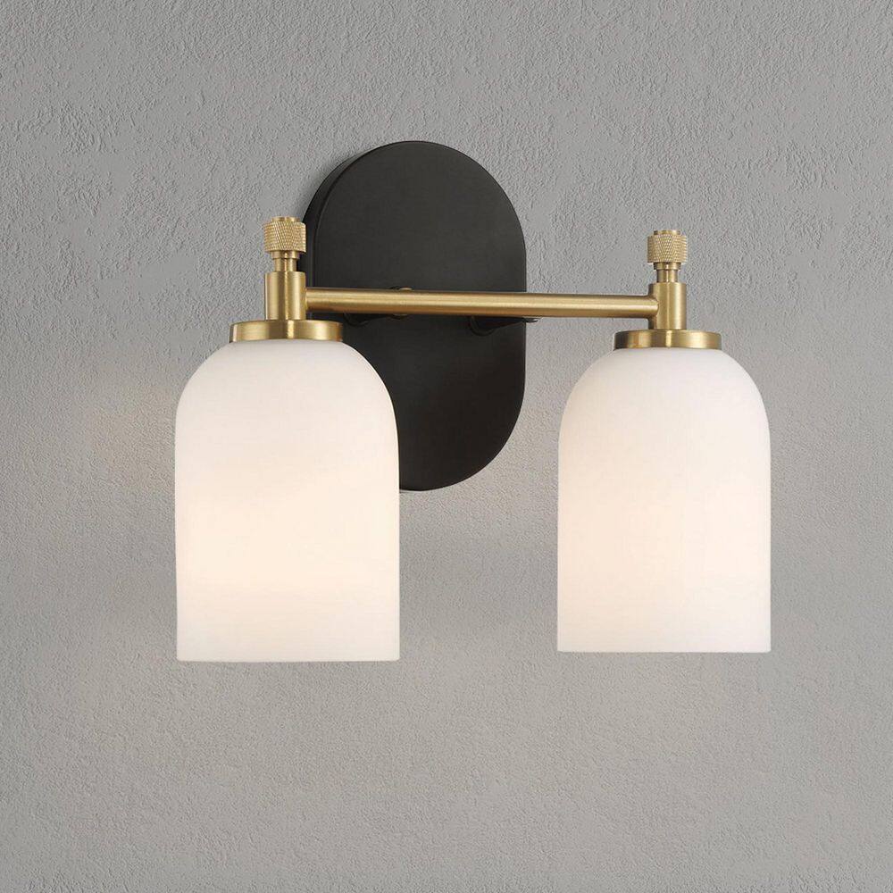 10.4 in. 2-Light Black Vanity Light with White Frosted Glass price history on PriceWatchPro