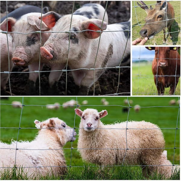 48 in. x 164 ft. 14-Gauge Heavy Zinc Coating Mesh for Deer, Goat, Hog Wire Fencing, Yard Livestock & Animals Protection