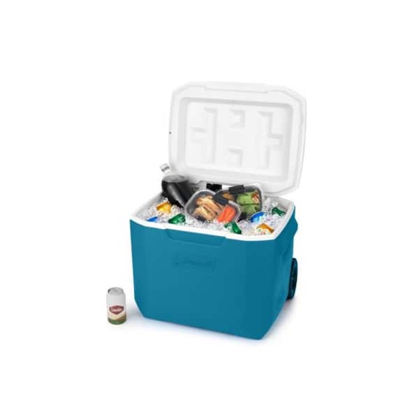 Coleman Converta コット 225LB c846bc9f-696d-36e4-a236-