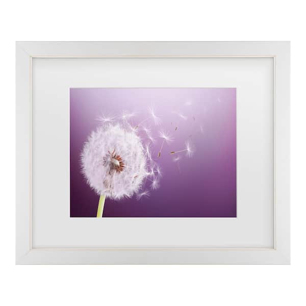 Trademark Fine Art Bess Hamiti Dandelion Flying Matted Framed Photography Wall Art 13 in. x 16 in.