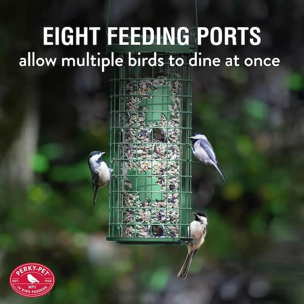 Perky-Pet 3 lb Squirrel Stumper Wild Bird Feeder Perky-Pet 3 lb Squirrel Stumper Wild Bird Feeder