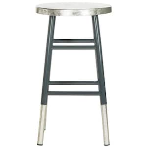 Kenzie 24 in. Gray/Silver Dipped Counter Stool