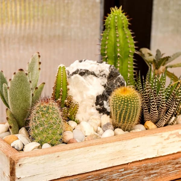 0.25 cu. ft. 3/8 in. to 5/8 in. Green Polynesian Landscape Rock for Gardens, Potted Plants and Terrariums