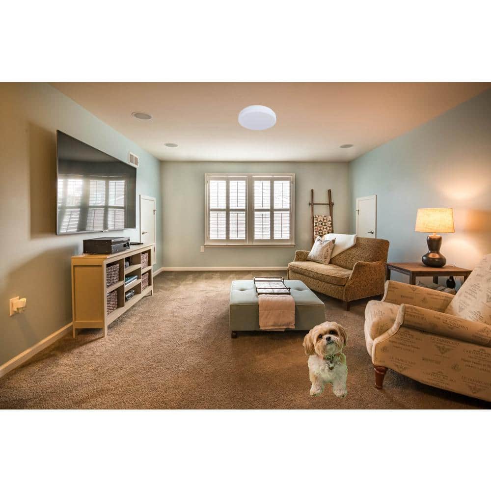 Cool White 11" Glass Drum LED Ceiling Light