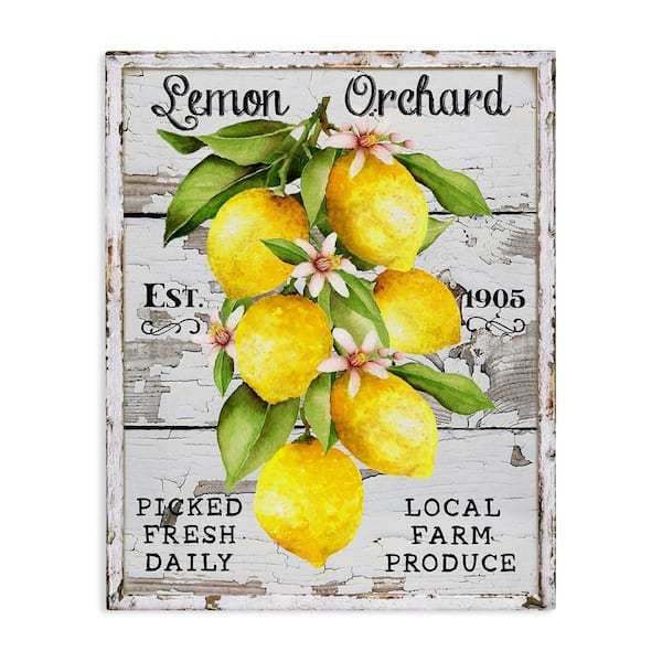 Stupell Industries Lemon Orchard Market by Creatif Belle Unframed Food Graphic Art Print 20 in. x 16 in.