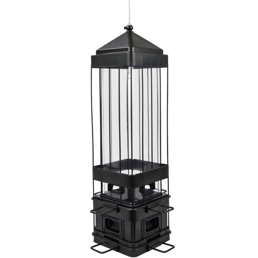 Black Metal and Plastic Hanging Squirrel-Resistant Bird Feeder
