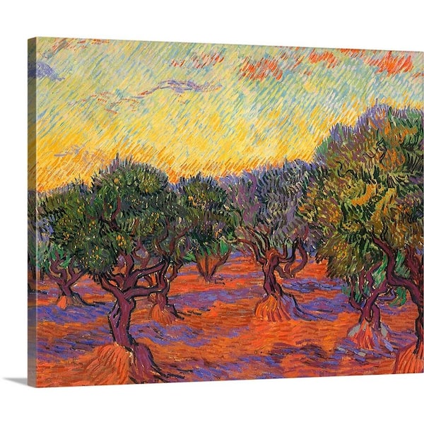 "Grove of Olive Trees" by Vincent Van Gogh Canvas Wall Art