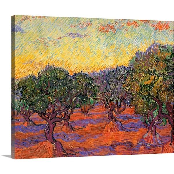 GreatBigCanvas "Grove of Olive Trees" by Vincent Van Gogh Canvas Wall Art